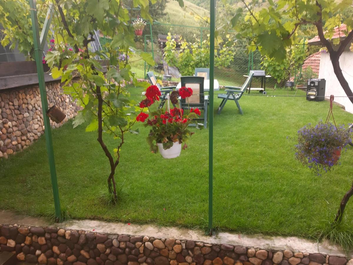 Vila Mir Pirot Exterior foto