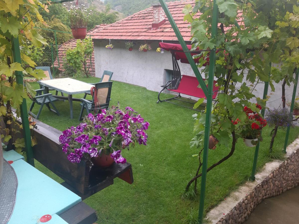 Vila Mir Pirot Exterior foto